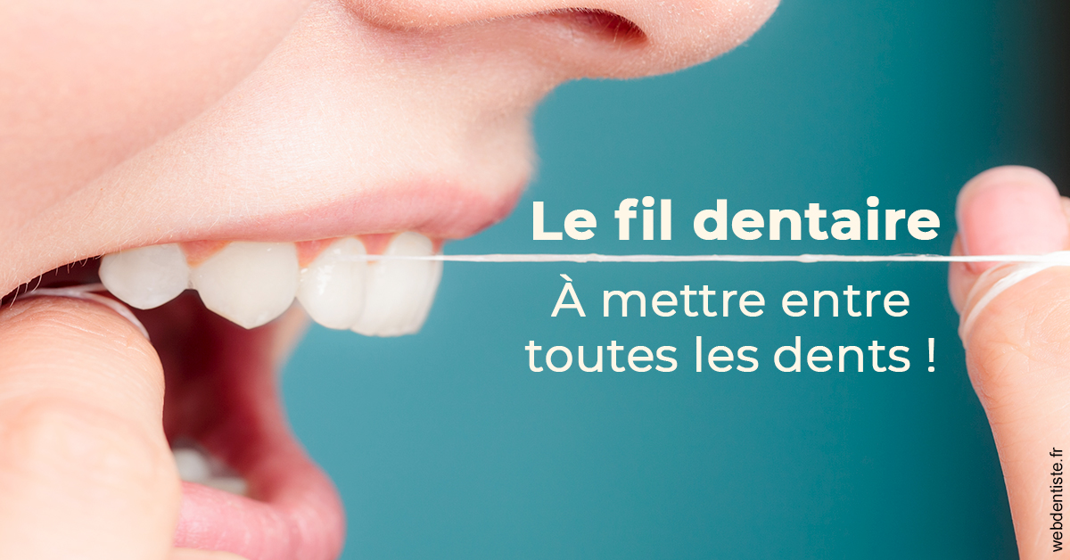https://dr-doucet-philippe.chirurgiens-dentistes.fr/Le fil dentaire 2