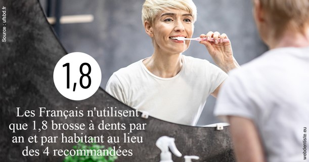 https://dr-doucet-philippe.chirurgiens-dentistes.fr/Français brosses 2