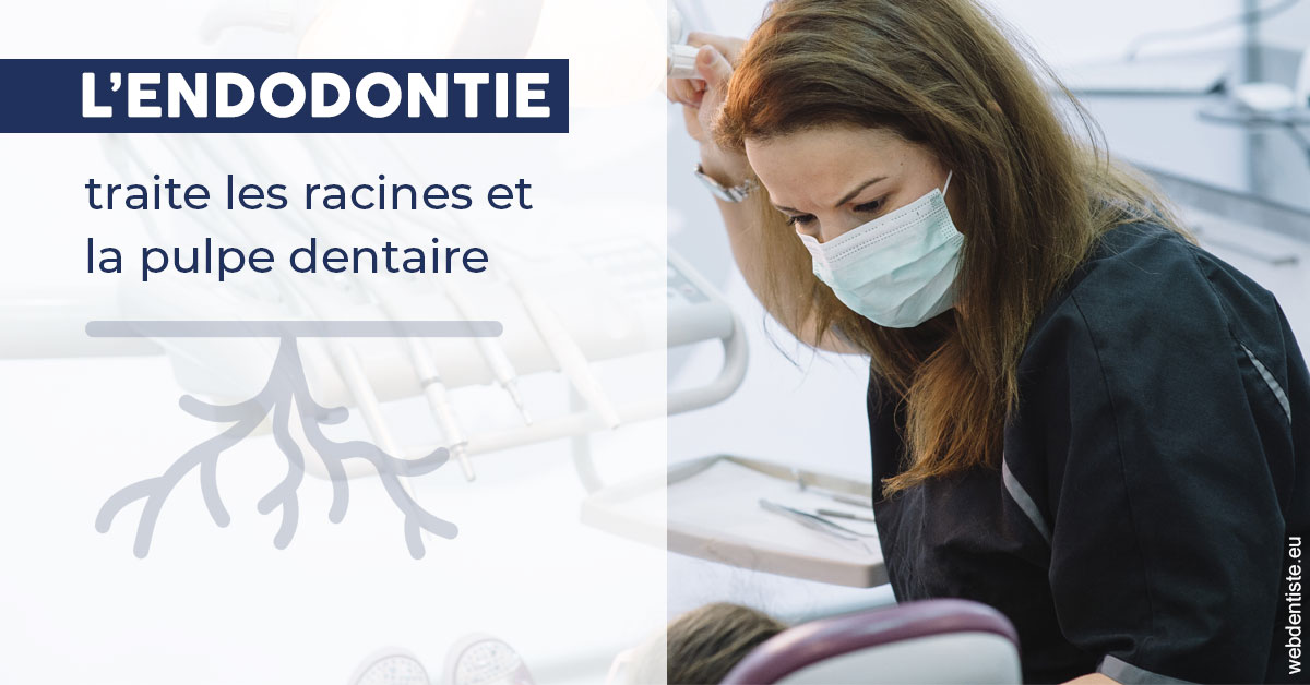 https://dr-doucet-philippe.chirurgiens-dentistes.fr/L'endodontie 1
