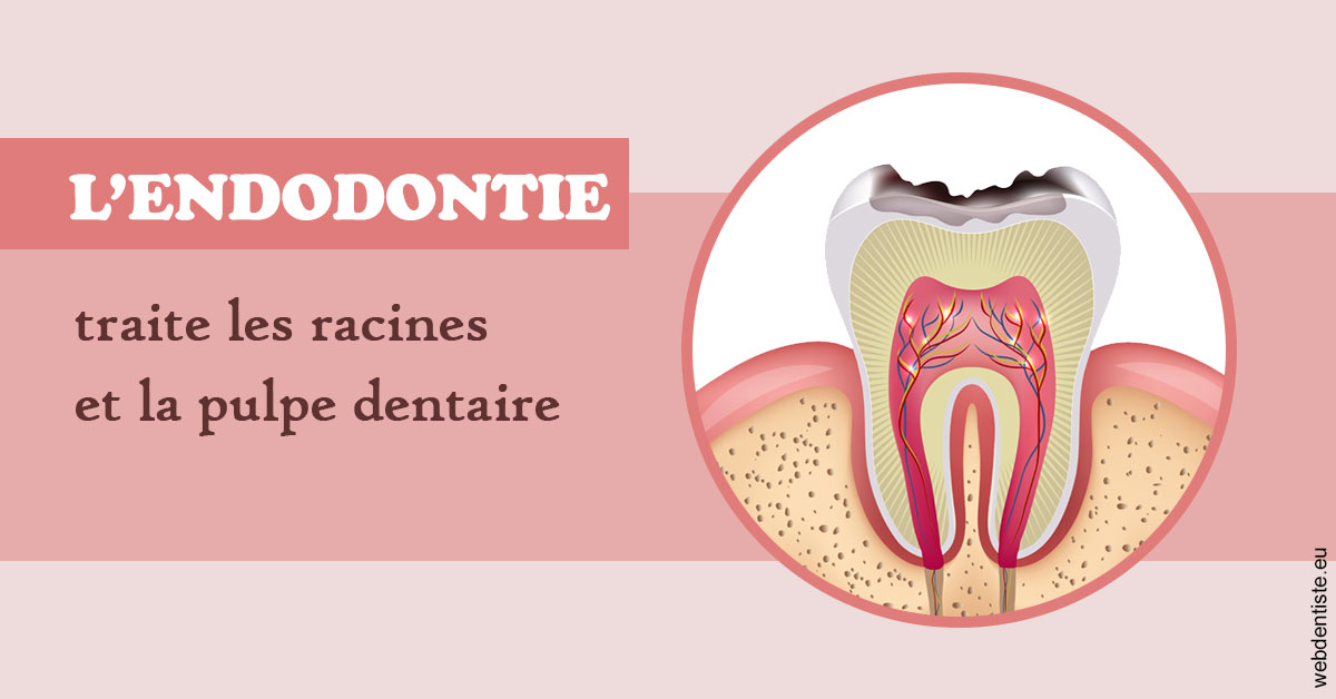 https://dr-doucet-philippe.chirurgiens-dentistes.fr/L'endodontie 2