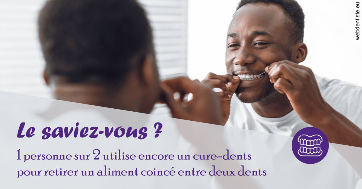 https://dr-doucet-philippe.chirurgiens-dentistes.fr/Cure-dents 2