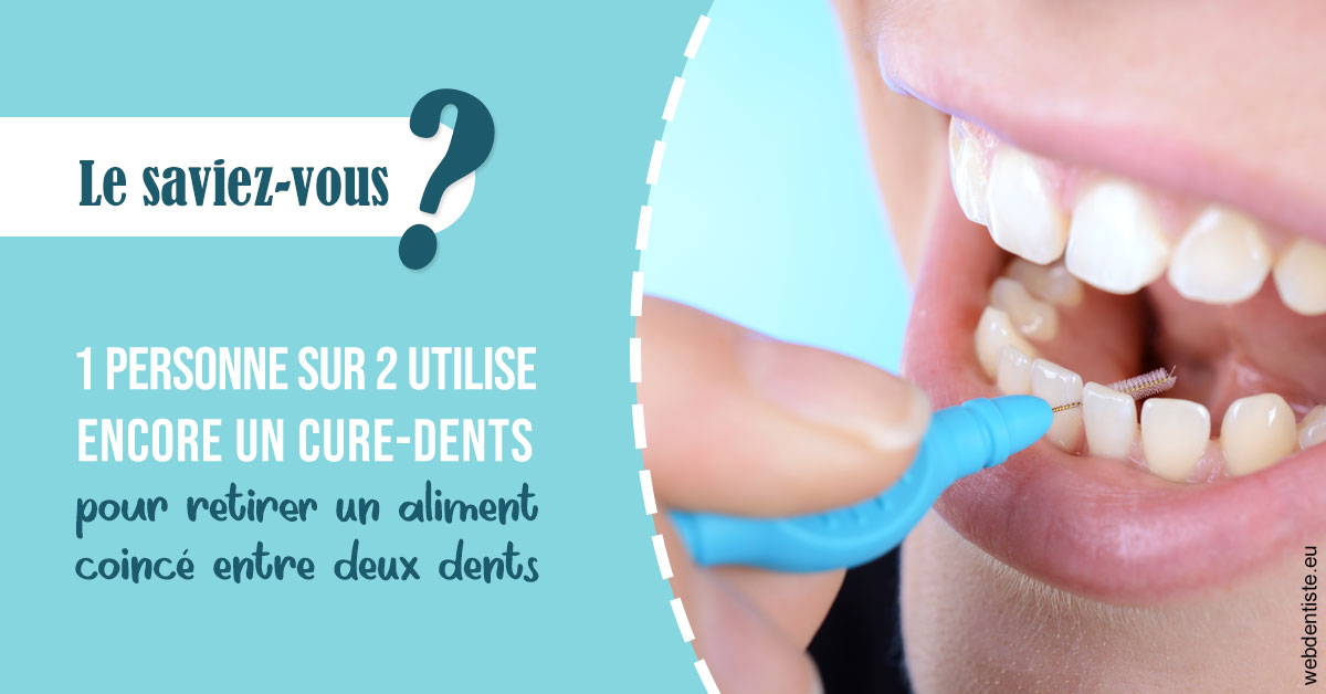 https://dr-doucet-philippe.chirurgiens-dentistes.fr/Cure-dents 1